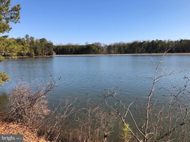 16 Merrimac Cove, Ruther Glen, VA 22546 - photo 4