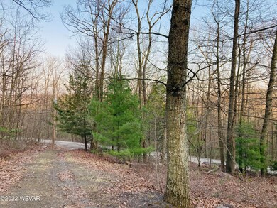 IMG-2968