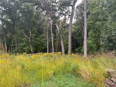 3055 Forrest Hill Ct, Hiawatha, IA 52233 - photo 3