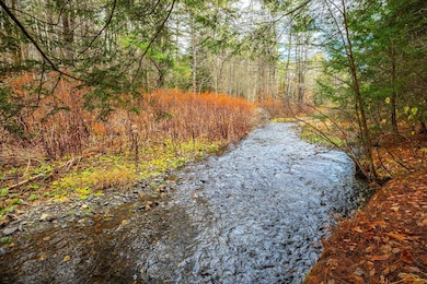 40 E Putney Brook Rd, Putney, VT 05346 - photo 3