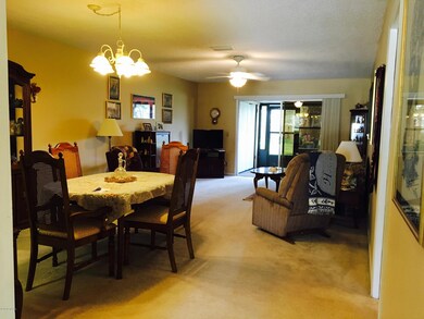 Dining to Living Area