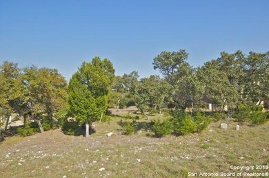 23710 Verde River, Cross Mountain, TX 78255 - photo 3