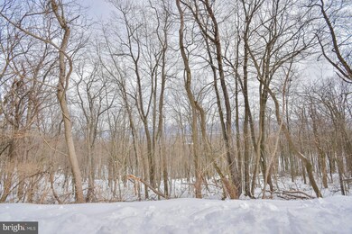 2965 Hampshire Grade Rd, Hedgesville, WV 25427 - photo 5