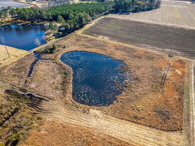 0 Brighton Rd, Abraham Baldwin College, GA 31794 - photo 7