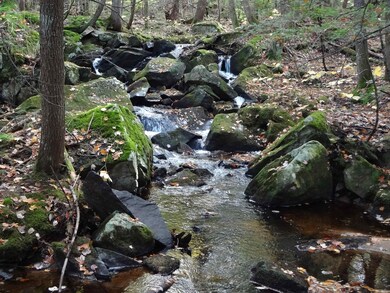 00 Bull Pasture Rd, Eaton, NH 03832 - photo 2