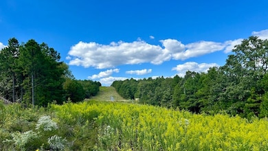 0 Aslin Prairie Rd unit 22990167, Talihina, OK 74571 - photo 5