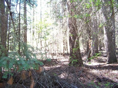 Land 2