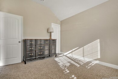 17823 Handies Peak, Helotes, TX 78023 - photo 5