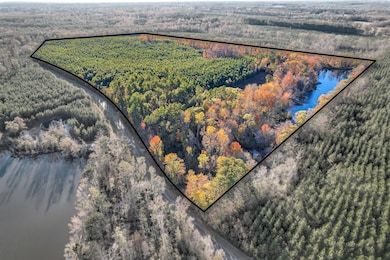 4099 Randall Hunt Rd, Dearing, GA 30808 - photo 6