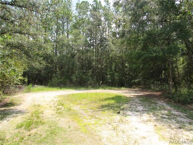 0000 SE 73rd Place, Morriston, FL 32668 - photo 3