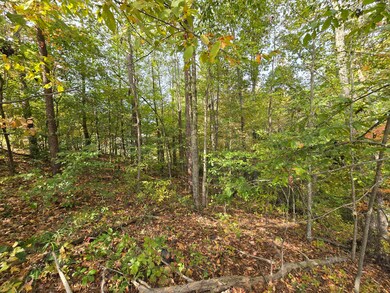 01 Headrick Cir SE, Dalton, GA 30721 - photo 2