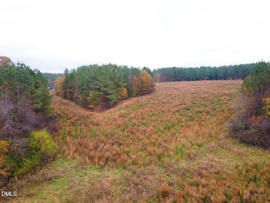 Tract 4 Old Allensville Rd, Roxboro, NC 27574 - photo 4