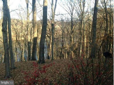 1393 Steamboat Run Rd, Shepherdstown, WV 25443 - photo 5