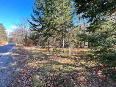 2871 Eaton Rd unit 24, Eaton Center, NH 03832 - photo 4