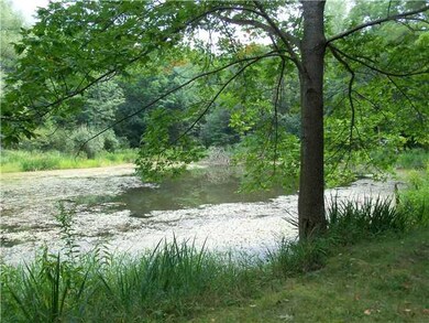 Other. Pond.