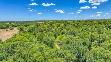 TBD 10 County Road 3679, Paradise, TX 76073 - photo 5