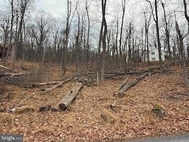 Lot 5 Deer Trail Rd, Front Royal, VA 22630 - photo 2