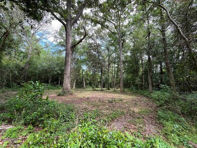 0 Old Magnolia Rd unit 370827, Tallahassee, FL 32309 - photo 7