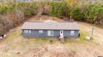 2528 Farm To Market Road 1798 W, Laneville, TX 75667 - photo 3