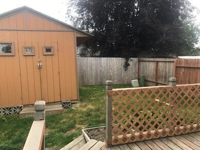 Shed