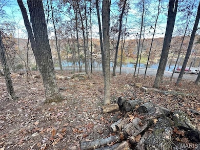 5149 N View Loop, Perryville, MO 63775 - photo 6