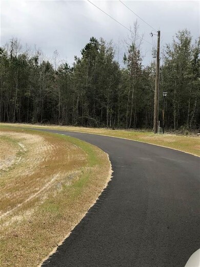 6 Ridge Ct, Crawfordville, FL 32327 - photo 5