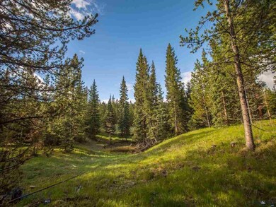 0 Towering Pines unit 183829, Big Sky, MT 59716 - photo 4