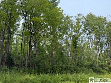 0 Horton Rd, Ellicott, NY 14701 - photo 3