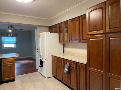 175 Half Moon St, Lincoln, IL 62656 - photo 4