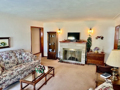 911 W Main St, Carmi, IL 62821 - photo 5