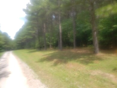 15 Acres Thomas Springs Rd, Crossville, TN 38572 - photo 4