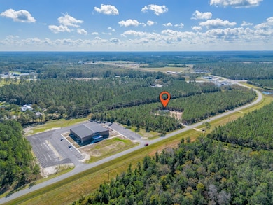 1361 Joey Williamson Rd Jesup Ga, Jesup, GA 31545 - photo 3