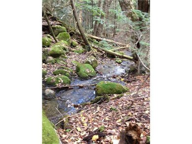 Other. Boundary line brook.
