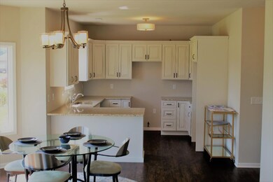 10115 Texas Ln, Crown Point, IN 46307 - photo 5