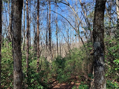 00 Ridge Rd, Tamassee, SC 29686 - photo 7