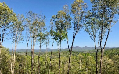 Additional View