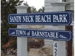 45 Bramble Path, Marstons Mills, MA 02648 - photo 6