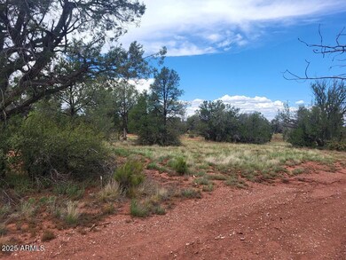 484 W Cone Ln, Ash Fork, AZ 86320 - photo 7