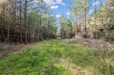 0 Highway 62 Hwy unit 2531744, Franklinton, LA 70438 - photo 6