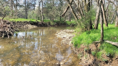 6 Pass Rd, Shelbyville, TN 37160 - photo 6