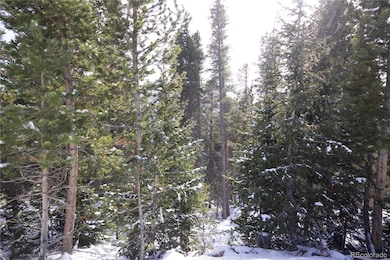 Lot 37 Vista Rd, Saint Mary's, CO 80452 - photo 5