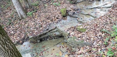 0 107 Ac Board Valley Rd unit 1137801, Cookeville, TN 38506 - photo 4