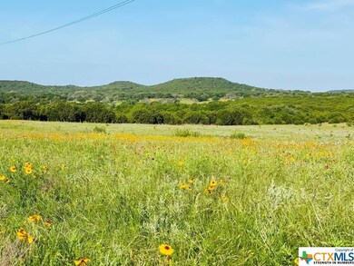 1205 Holden Loop, Copperas Cove, TX 76522 - photo 3