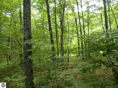 NA Canton Trail, West Branch, MI 48661 - photo 7