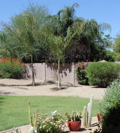 4123 E LARIAT LN BACK YARD
