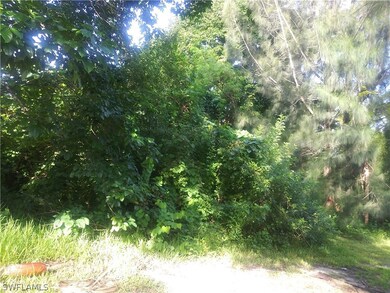 Deep lot for shed - out buildings