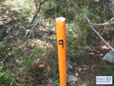 Front Corner Markers, Lot #9