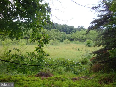 0 Horn Camp Rd unit 1000214915, Rio, WV 26755 - photo 2