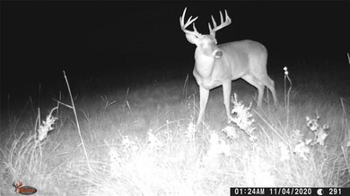 0000 Farm To Market Road 2071, Gainesville, TX 76240 - photo 4