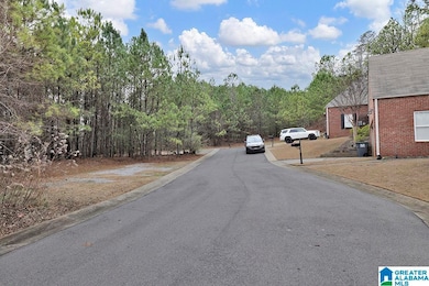 495 Scenic View Ln unit 15A, Birmingham, AL 35244 - photo 2